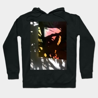 Shadow Painting 03aX Hoodie